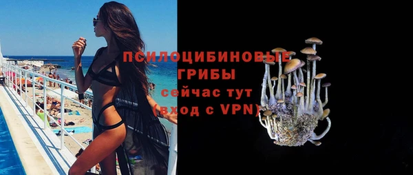 спайс Каменногорск