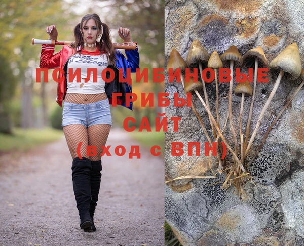 мдма Каменка